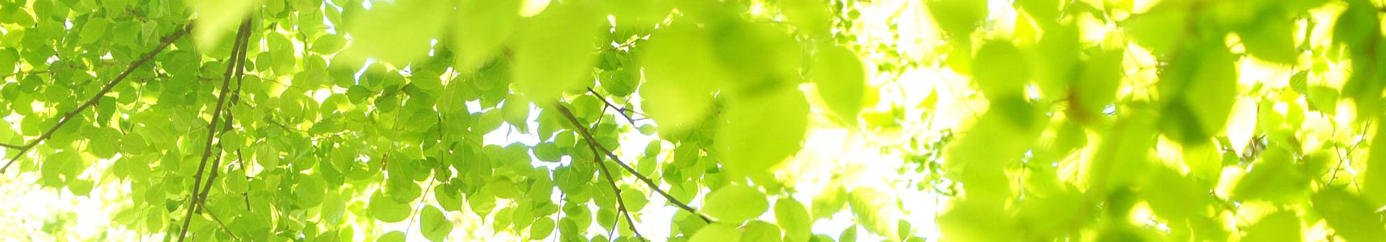 プライバシーポリシー